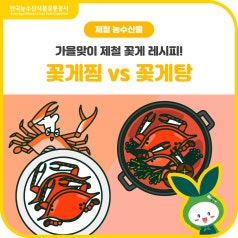가을 제철 꽃게 요리! [꽃게찜 vs 꽃게탕] 당신의 선택은? 바로가기