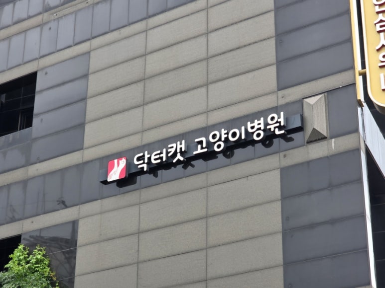 닥터캣고양이병원