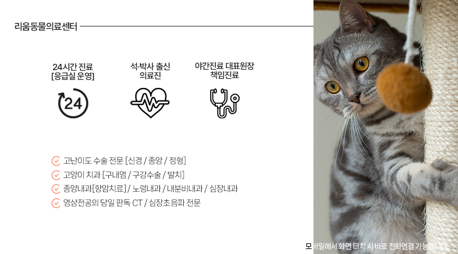 송파 고양이 골절 수술 후기: 낙상 후 경골 골절 회복 과정 — 사진 10