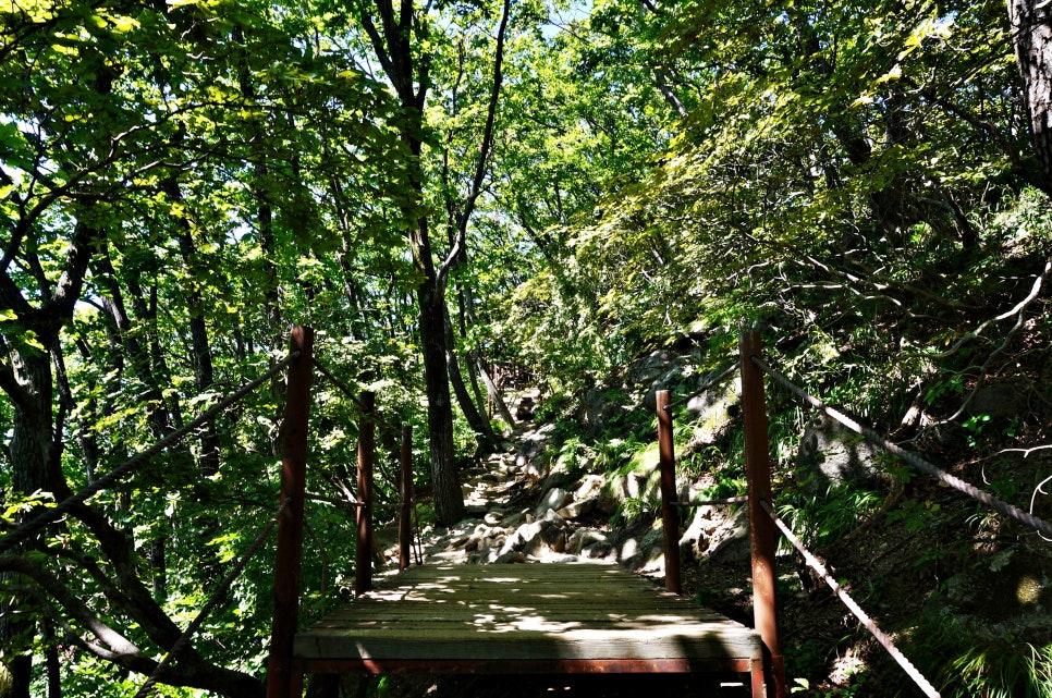 달밭골명품마을 이미지