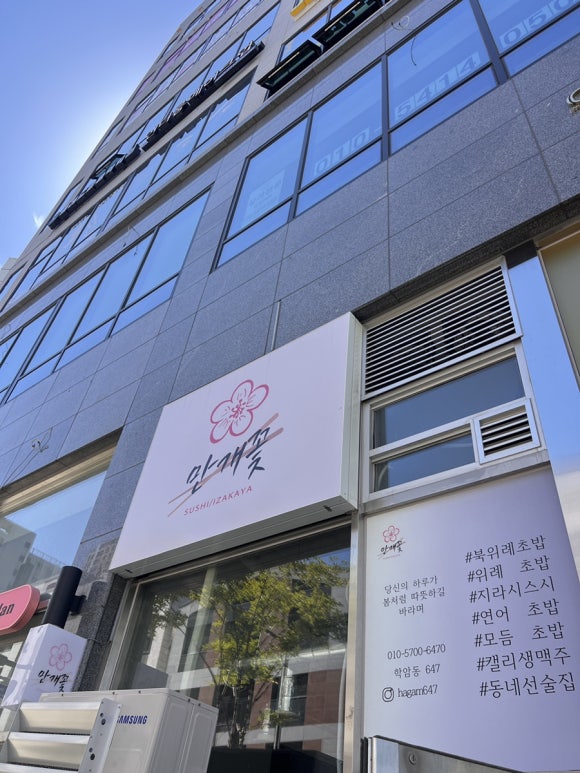 위례 맛집 북위례 맛집 지라시 스시 맛집 만개꽃
