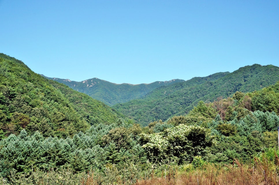 달밭골명품마을 이미지