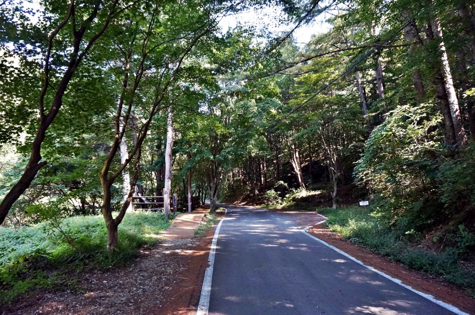 달밭골명품마을 이미지