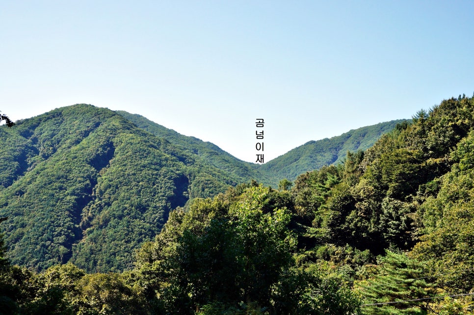 달밭골명품마을