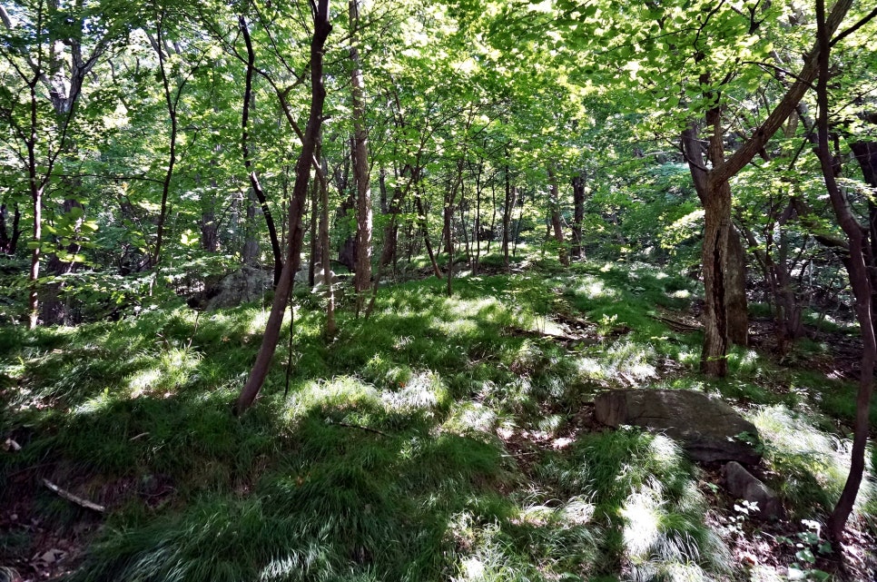 달밭골명품마을 이미지