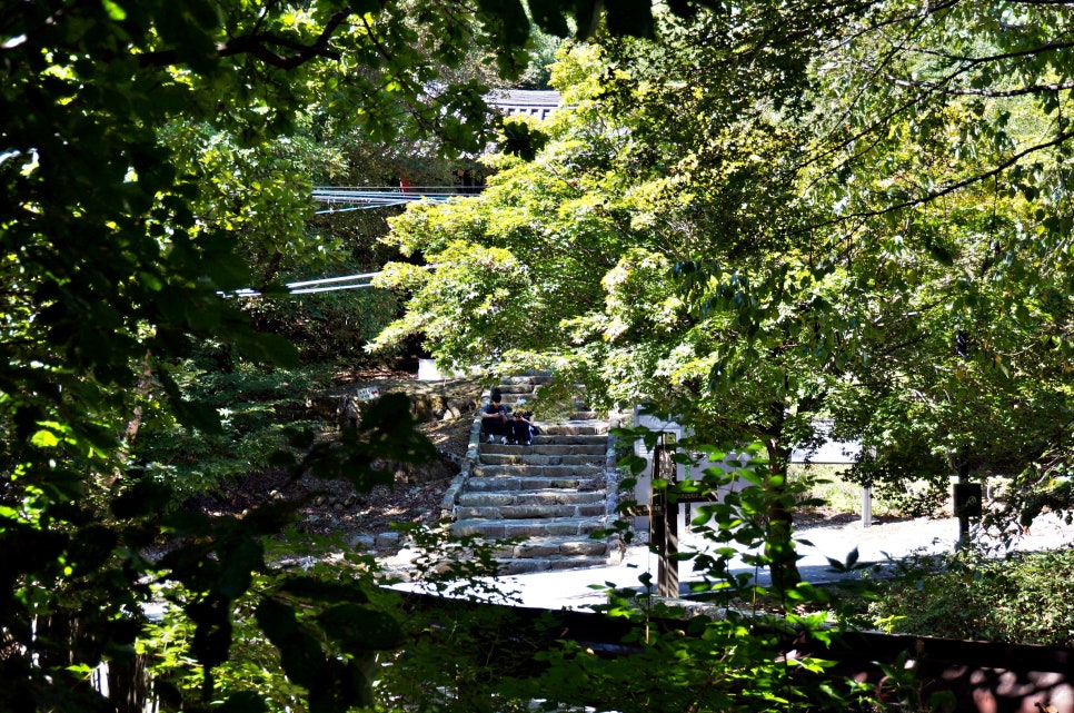 달밭골명품마을 이미지