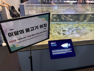 대구소막창 홍봉근부산꼼장어 이미지