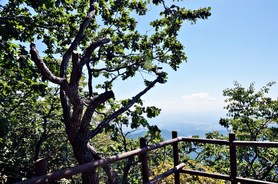 달밭골명품마을 이미지