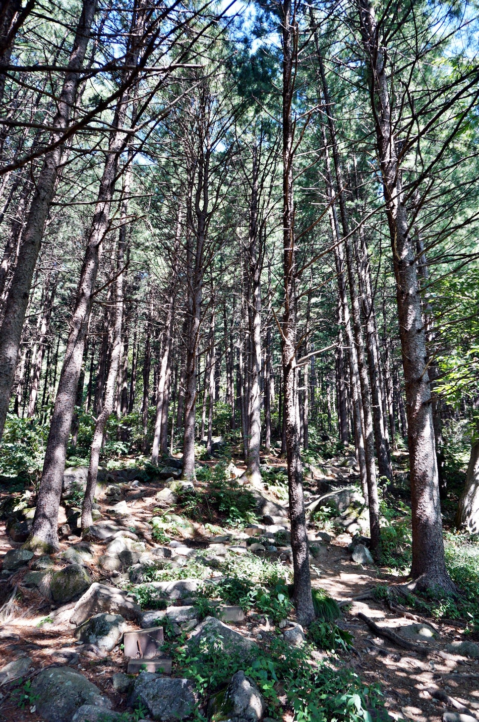 달밭골명품마을 이미지