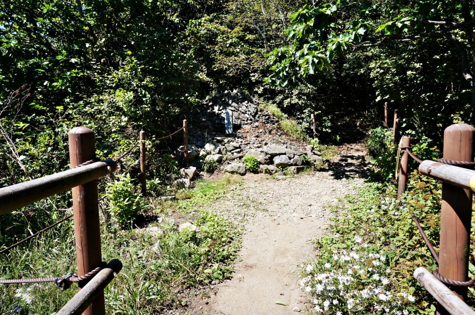 달밭골명품마을 이미지