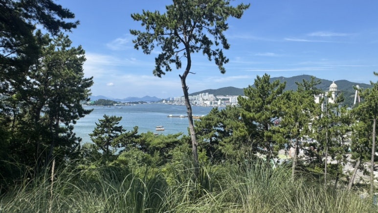 회뜨는선장님 사진 2