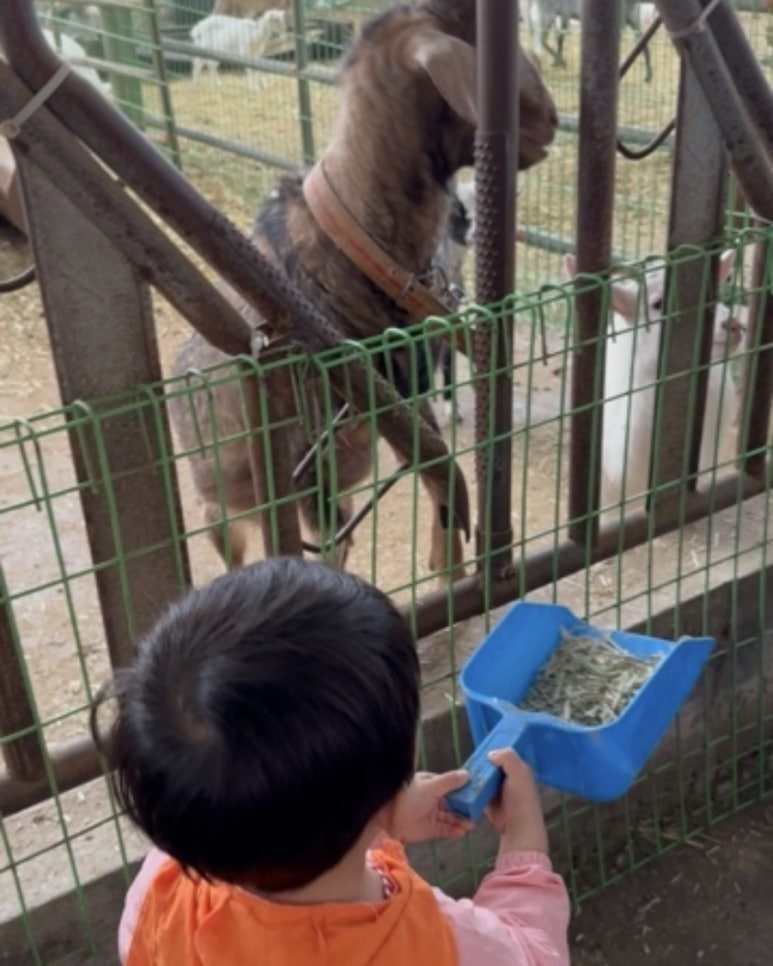 (주)연보람 우유 이미지