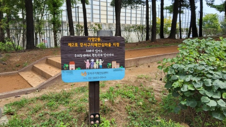 브로콜리 지역정보 관련 사진 9