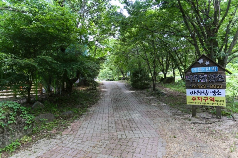 바위집염소 이미지