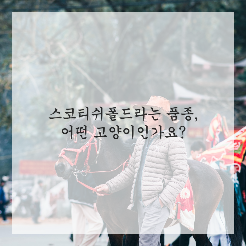 공동주택 반려동물 법규 위생