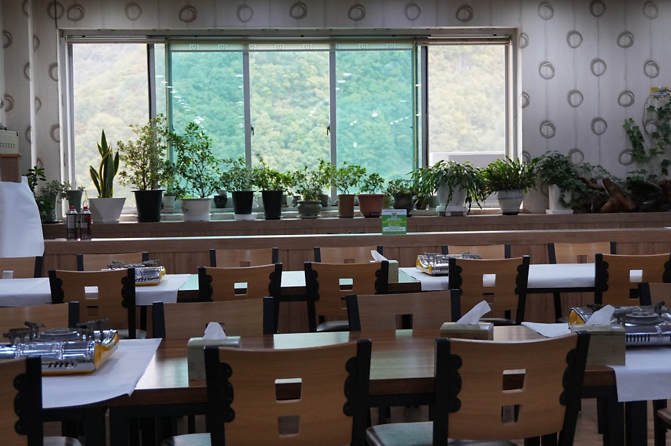 단양민물매운탕쏘가리 이미지