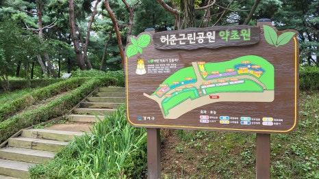 브로콜리 지역정보 관련 사진 11