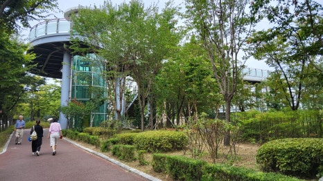 브로콜리 지역정보 관련 사진 13