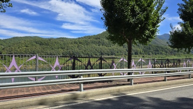 온달문화축제 이미지