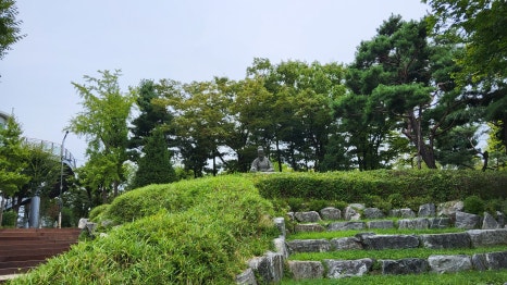 브로콜리 지역정보 관련 사진 12