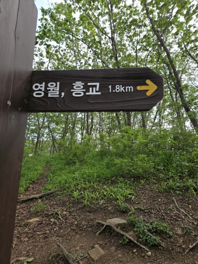 태화산 이미지