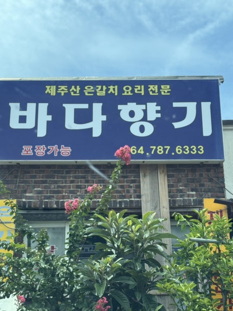 바다향기 사진 6