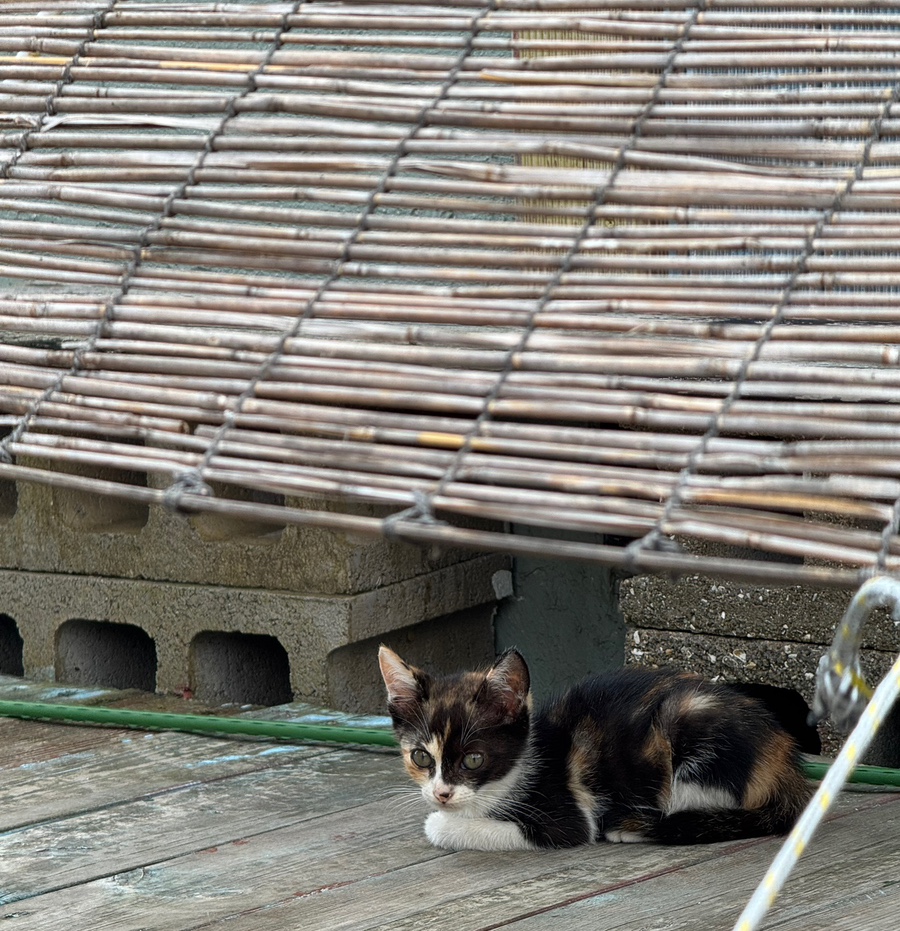 해동별한곳 사진 3