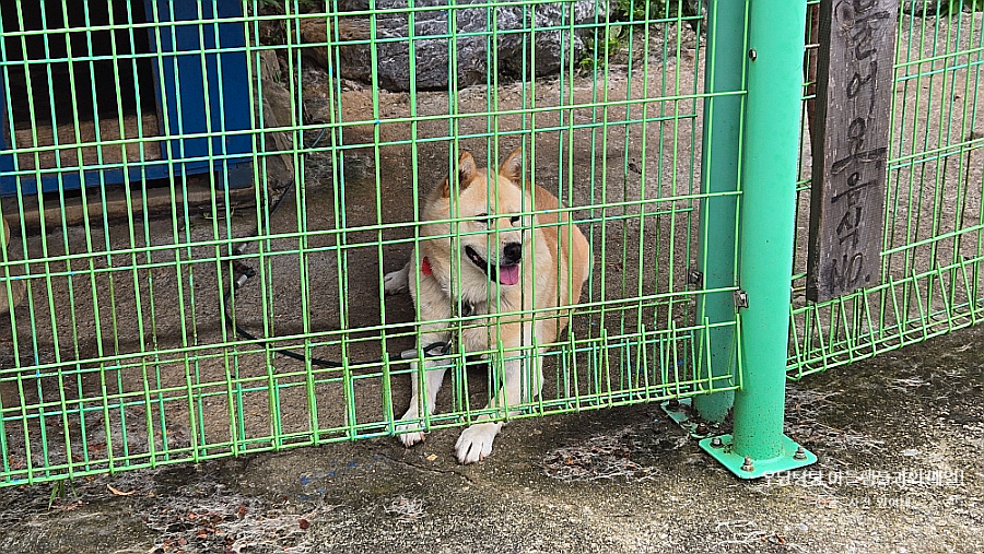 다래펜션 이미지