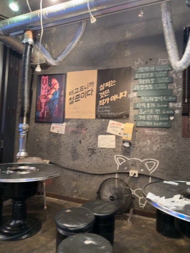 국민돼지 사진 8