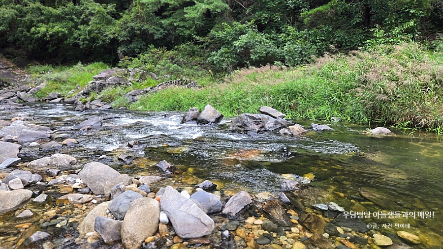 다래펜션 이미지