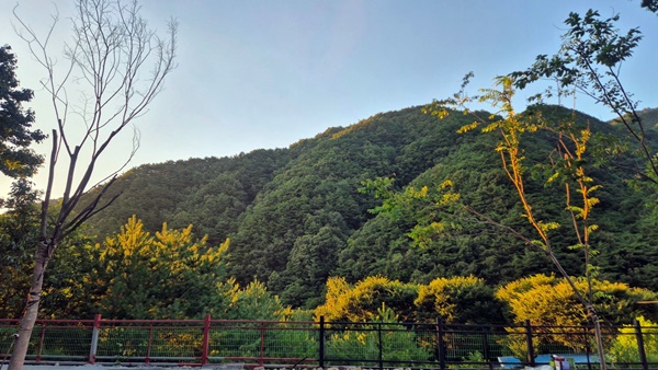 을전56펜션 이미지