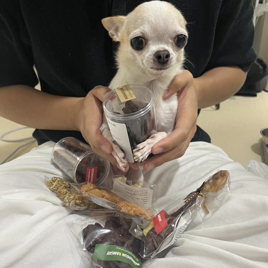 강아지 수제간식 멍든램지 노견 맞춤 후기 — 사진 2