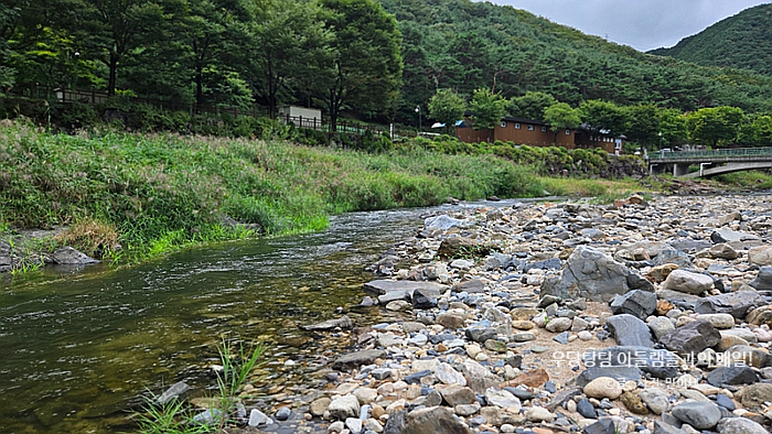 다래펜션 이미지