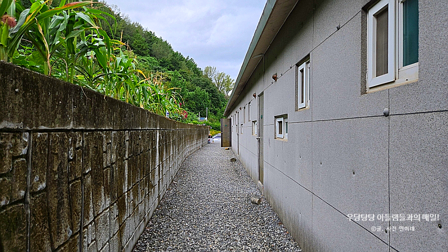 다래펜션 이미지