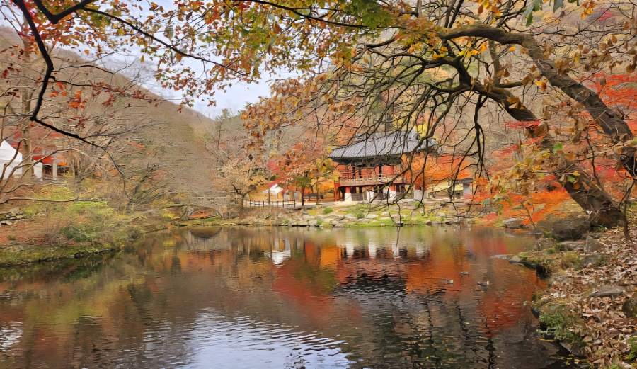 전남 10월 11월 단풍 명소 내장산 국립공원 장성 백양사 : 네이버 블로그