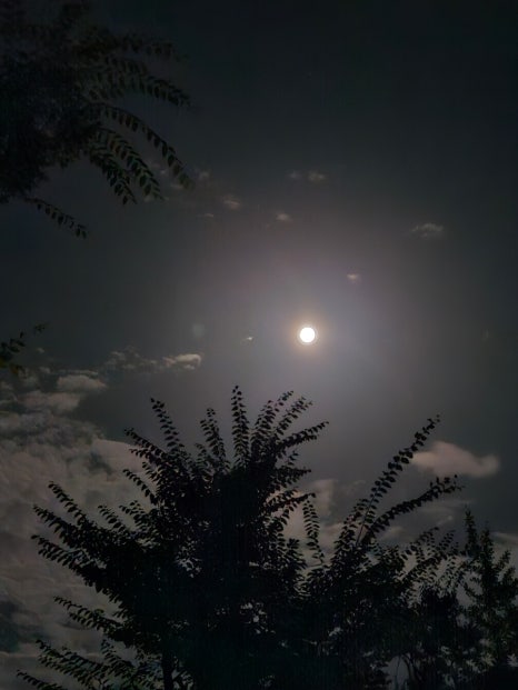 캠프우아 이미지