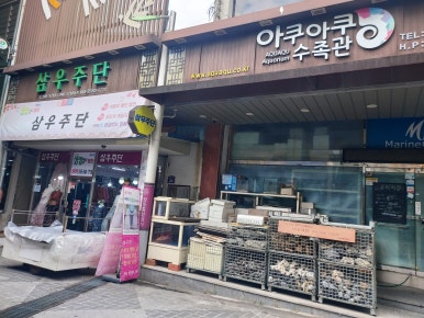 삼우주단 이미지