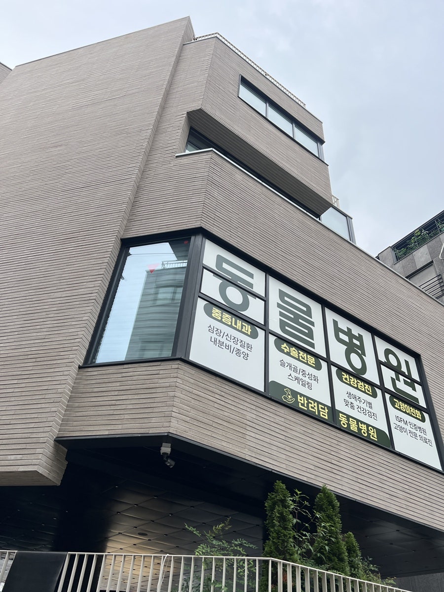 강남 애견유치원 반려담, 깨끗하고 안전한 시설 후기 — 사진 5