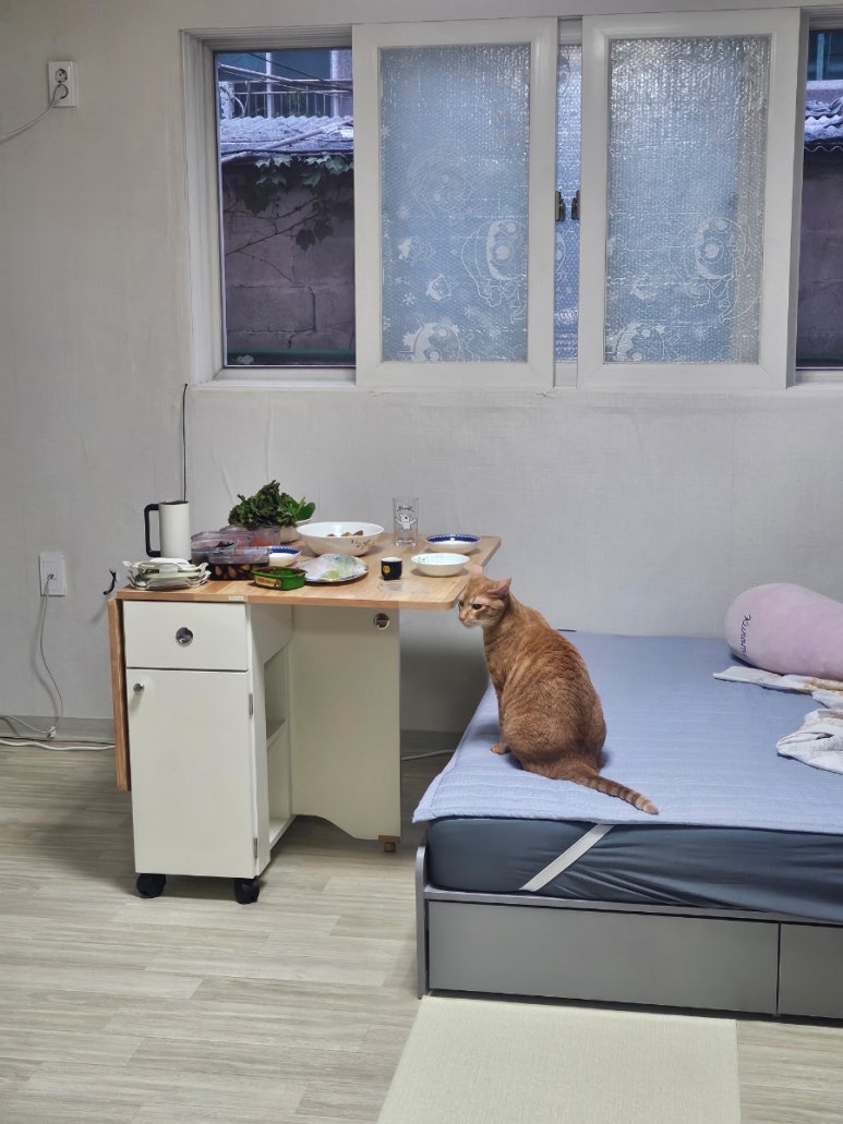 풀향기보경이삼겹사랑추어사랑 대표 사진