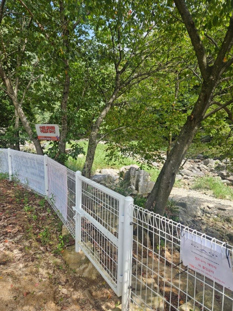 캠프우아 이미지