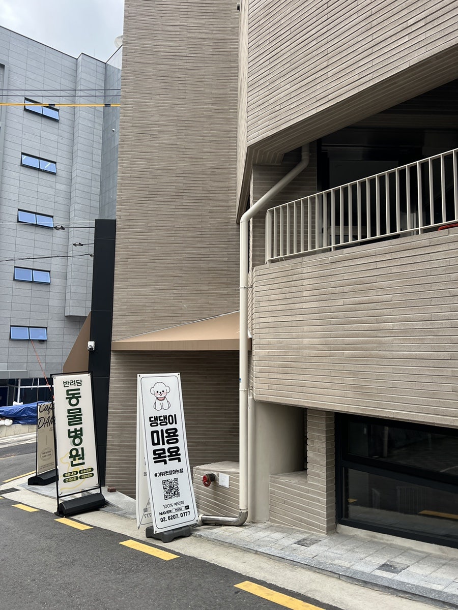 강남 애견유치원 반려담, 깨끗하고 안전한 시설 후기 — 사진 4