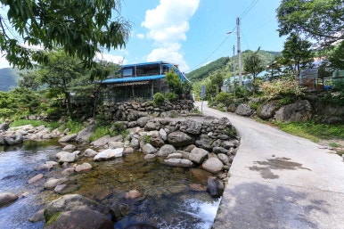 바위집염소 이미지