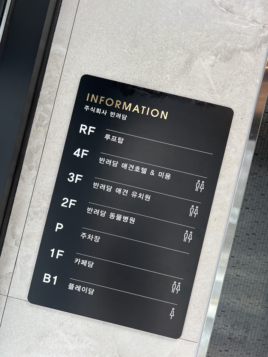 강남 애견유치원 반려담, 깨끗하고 안전한 시설 후기 — 사진 3