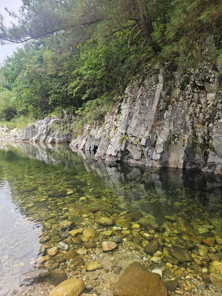 캠프우아 이미지