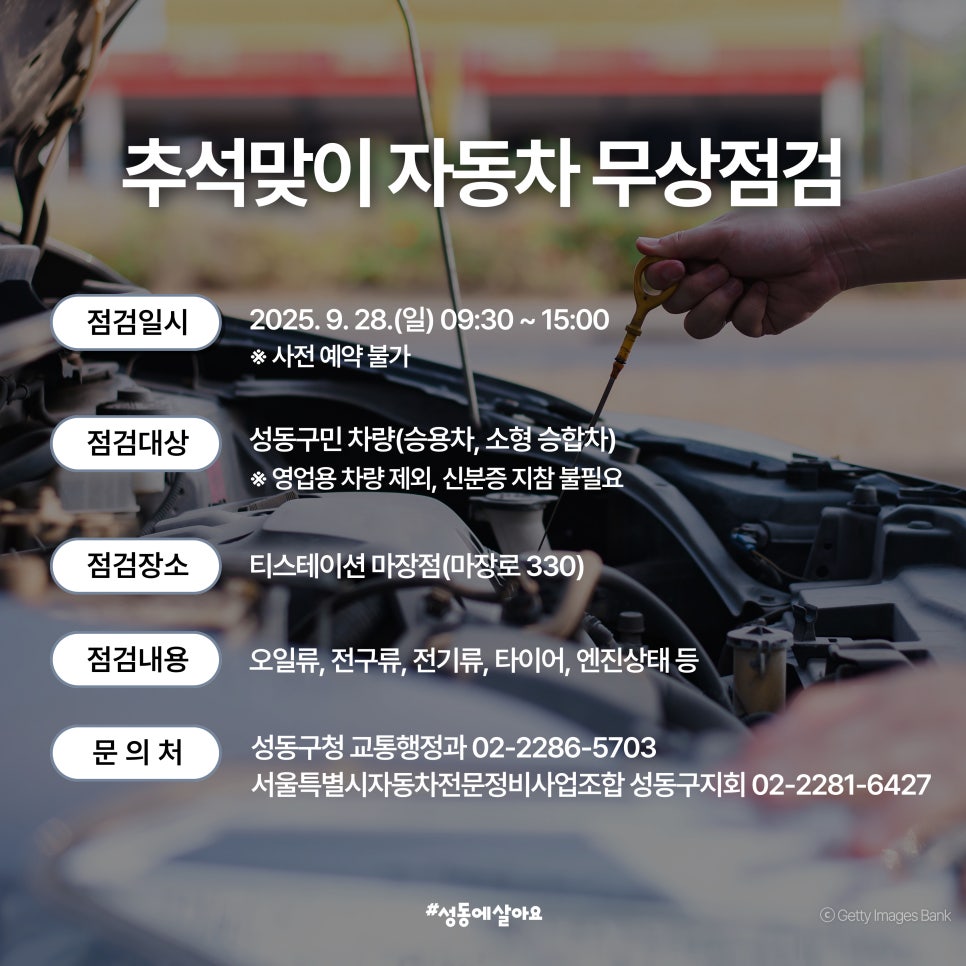 브로콜리 지역정보 관련 사진 2