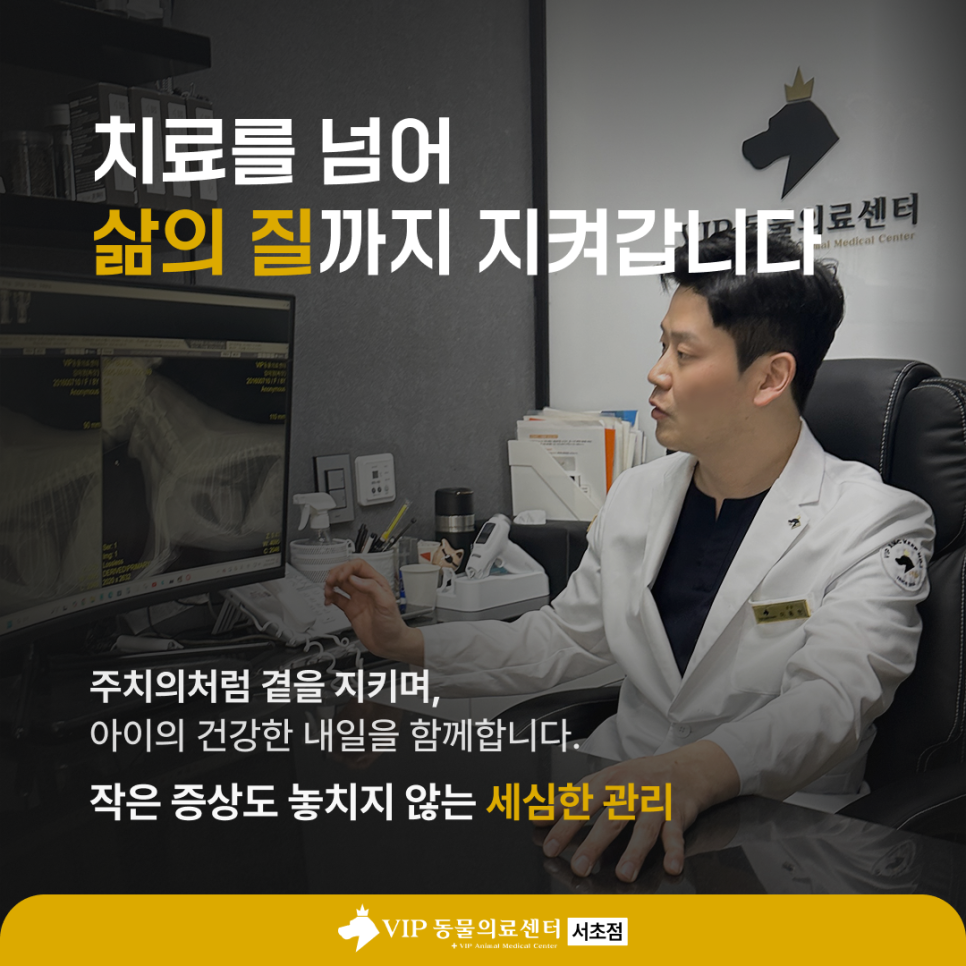 서초 강아지 물림 사고, VIP동물의료센터 교상 치료 후기 — 사진 2