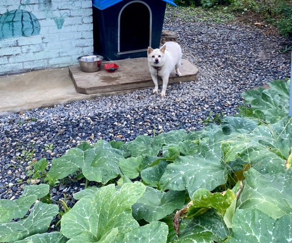 훈할머니묵집 이미지