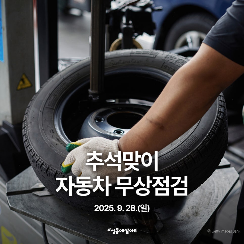 브로콜리 지역정보 관련 사진 1