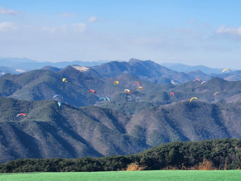 단양패러명가 이미지