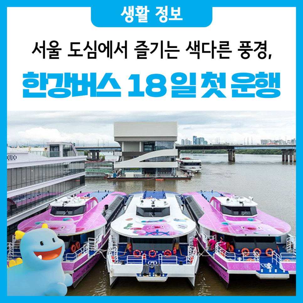 브로콜리 지역정보 관련 사진 12